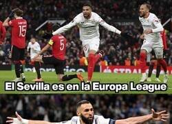 Enlace a Equipos españoles y sus especialidades