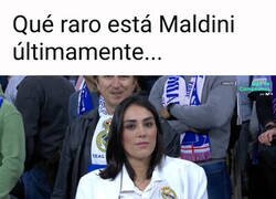 Enlace a No parece ni él