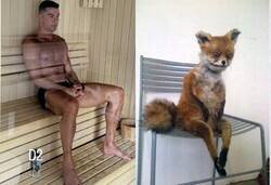 Enlace a Tas bien, Cris?