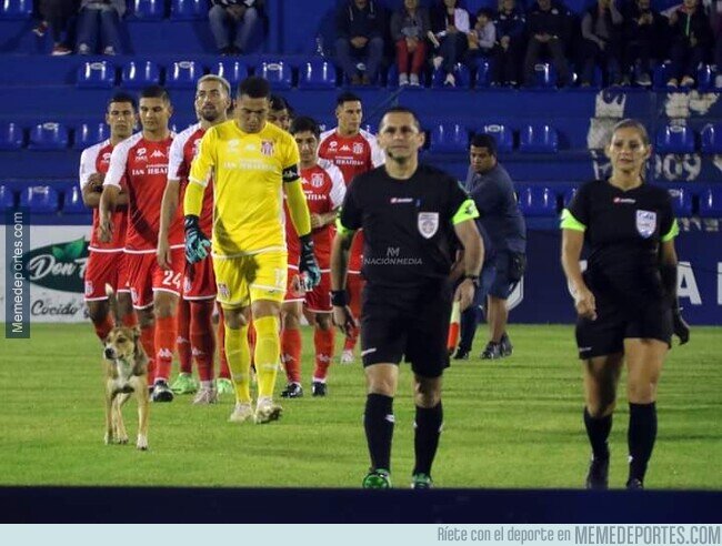 1185956 - Como Superman en La Liga de La Justicia