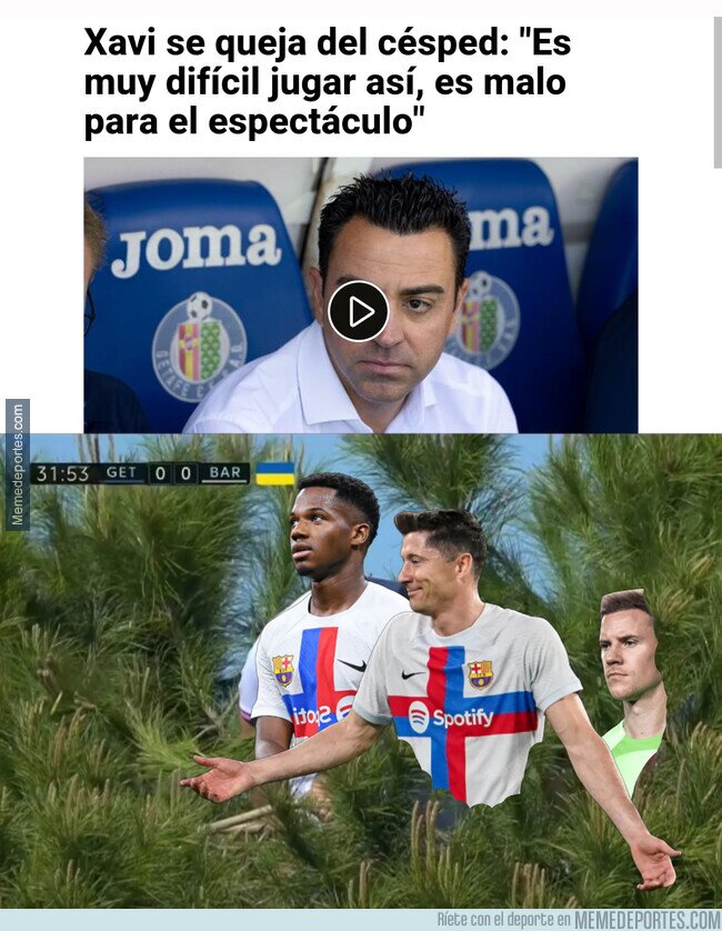1186080 - Pensaba que eran aficionados en un árbol, no imágenes del terreno de juego...