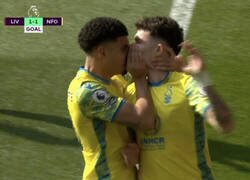 Enlace a Una celebración demasiado afectuosa