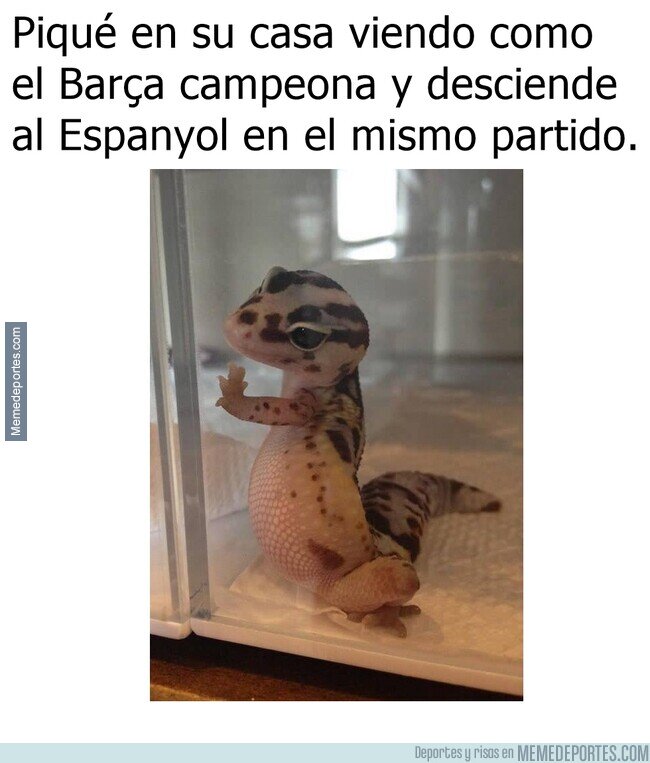 1187412 - Es capaz de saltar al campo tipo Salt Bae