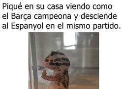 Enlace a Es capaz de saltar al campo tipo Salt Bae