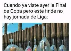 Enlace a Habrá que esperar a la Champions