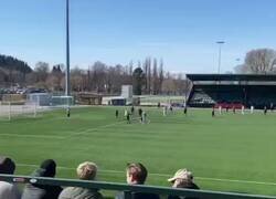 Enlace a Desde Finlandia, este pequeñín invadió el campo en un triciclo.