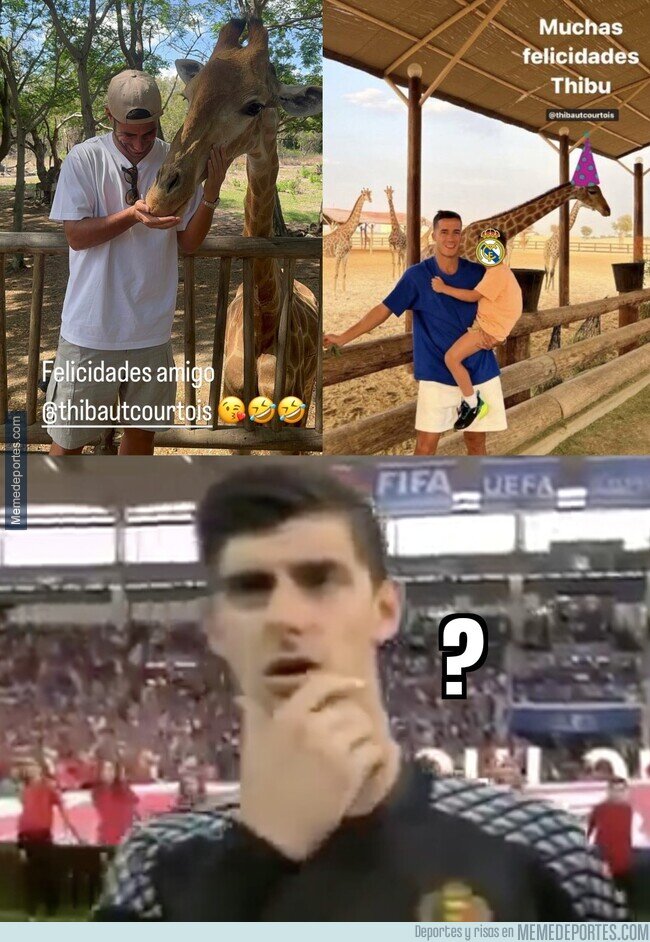 1187930 - Las crueles felicitaciones que recibió Courtois el día de su cumpleaños