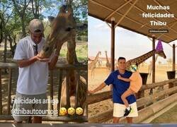 Enlace a Las crueles felicitaciones que recibió Courtois el día de su cumpleaños