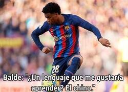 Enlace a Balde, por favor...