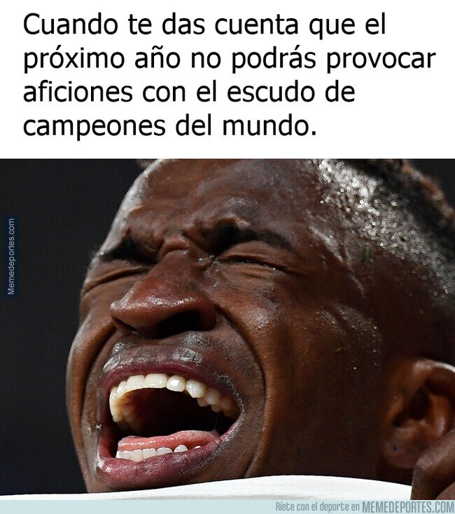 1188409 - Pésimas noticias para el Vini