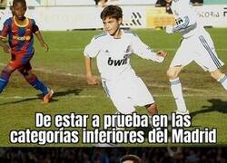 Enlace a Lo que se dejó escapar en Valdebebas