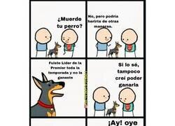 Enlace a Pobre Arsenal