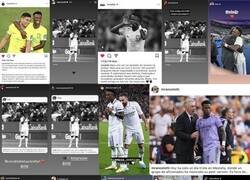 Enlace a Vinicius no esta solo