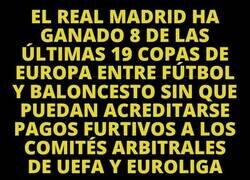 Enlace a Han juntado más balones que en Decathlon