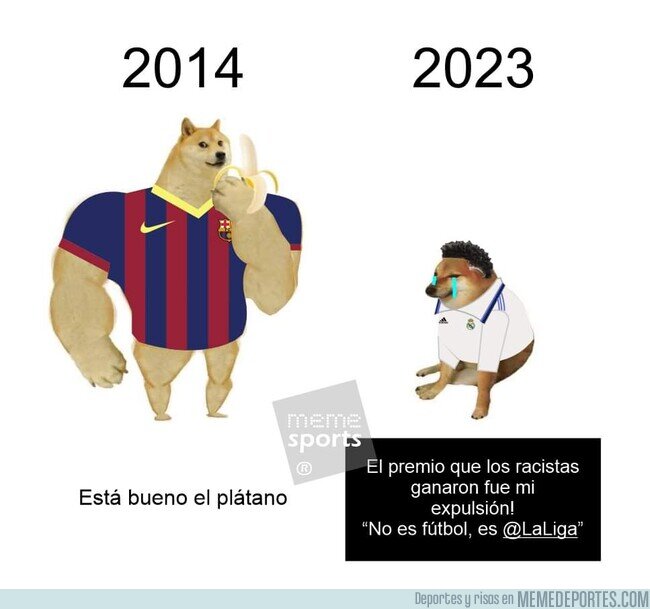 1188933 - Diferentes maneras de enfrentar adversidades
