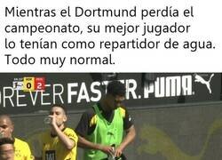 Enlace a Que hace Bellingham?