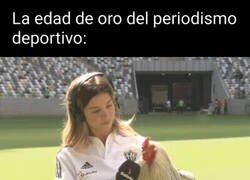 Enlace a Impactantes declaraciones