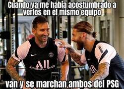 Enlace a Tal y como llegaron, se van