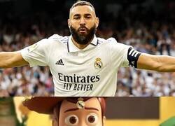 Enlace a Se va el Gato