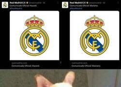 Enlace a Podría ser el siguiente