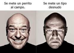 Enlace a Invasores carismáticos