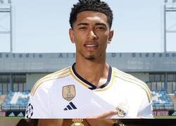 Enlace a Creo que el meme ha llegado incluso tarde