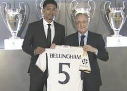 Enlace a Historia del dorsal 5