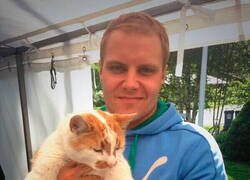 Enlace a La tontería del día