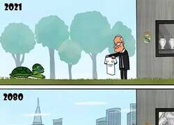 Enlace a La tortuga va lenta