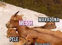 Enlace a El podio del olimpo