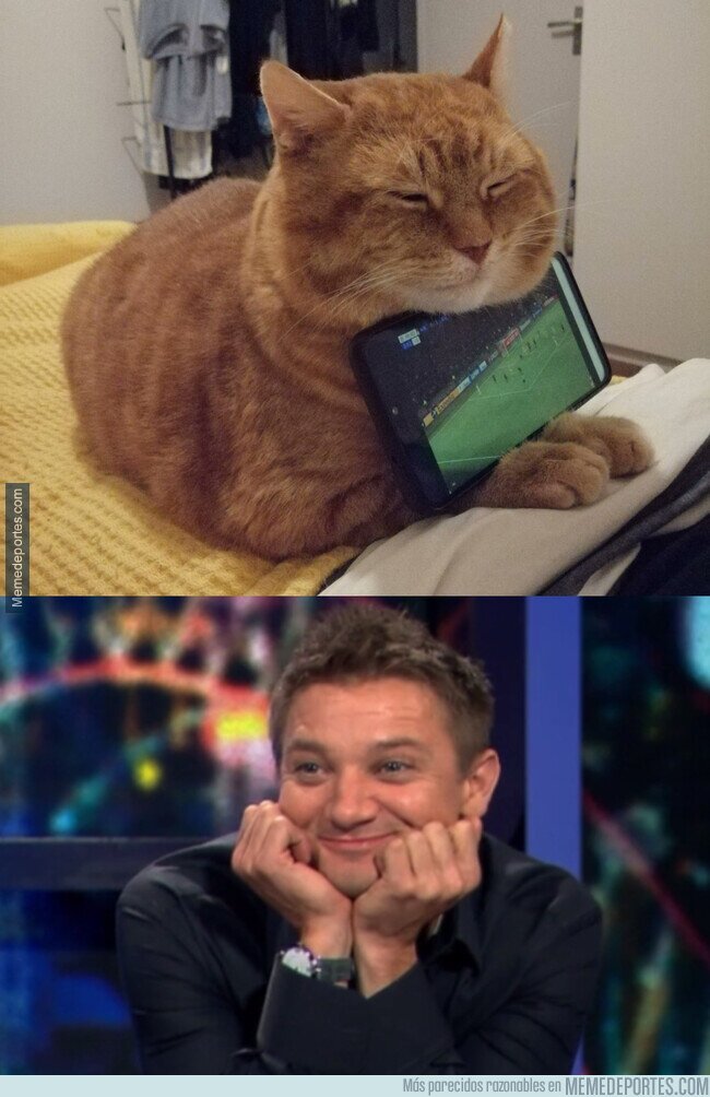 1191389 - Te quiero gatito que me sujeta el fútbol