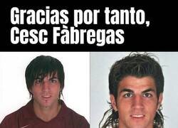 Enlace a Su carrera fue de más a menos