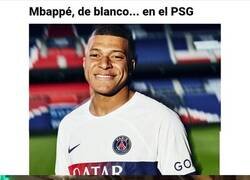 Enlace a Stop please