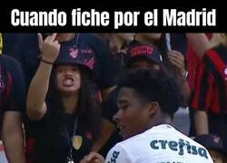 Enlace a A nadie en el mundo le gusta que le provoquen