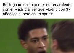 Enlace a Primer día en el Madrid