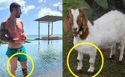 Enlace a No, no son coincidencias.