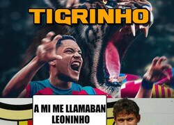 Enlace a Separados al nacer