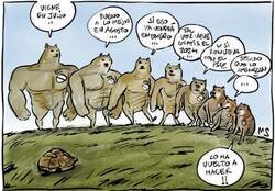 Enlace a Todos los años el mismo cuento