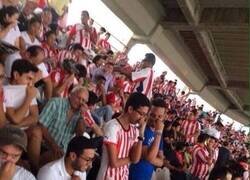 Enlace a El de camiseta blanca, principal sospechoso