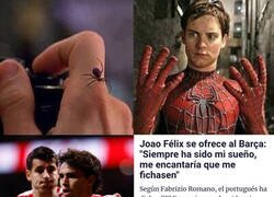 Enlace a Joao, todo un soñador como Morata