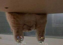 Enlace a Tal vez no funcione, ¿pero y si sí?