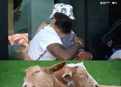 Enlace a Lebron y Leo