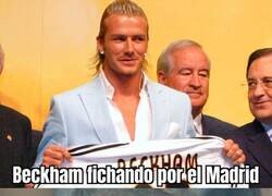 Enlace a La verdadera emoción