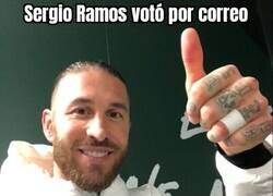 Enlace a Resaca electoral