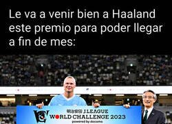 Enlace a Para tapar agujeros