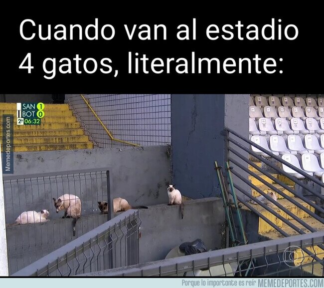 1193009 - Cuando no es solo una manera de hablar