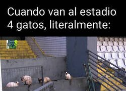 Enlace a Cuando no es solo una manera de hablar