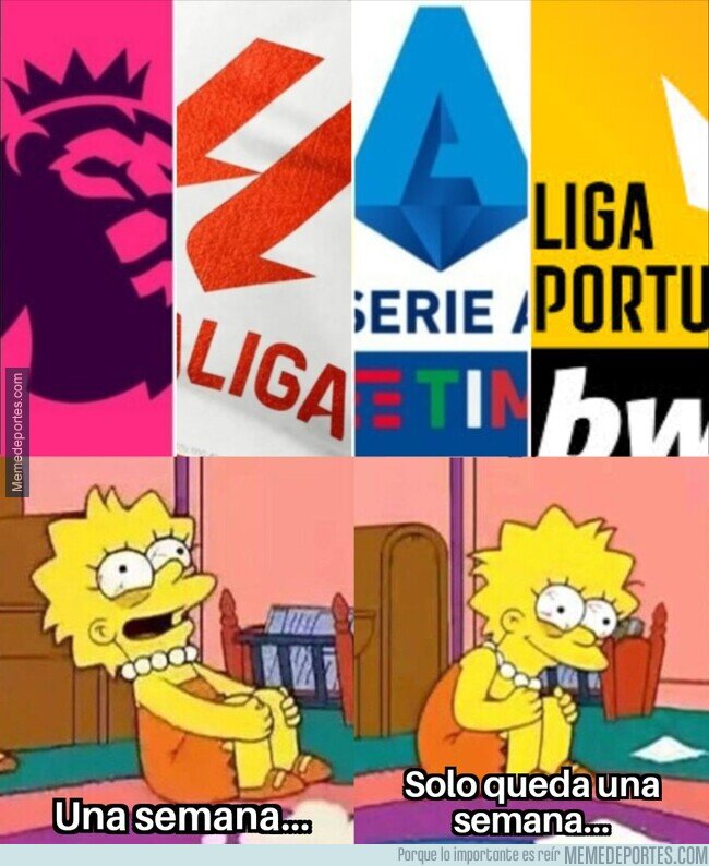 1193416 - Una semana para que empiecen las ligas