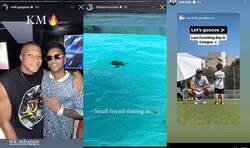 Enlace a Están desesperados