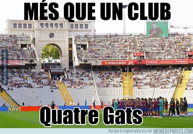 1193662 - Primer partido en su